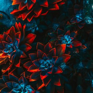 Home freelance artist floral 4